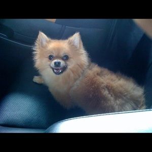 Meet your Posher, Richard